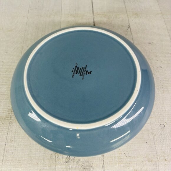 Threshold Target WESTFIELD Aqua Blue Embossed Rings Coupe Dinner Plates Set of 2 - Picture 5 of 11